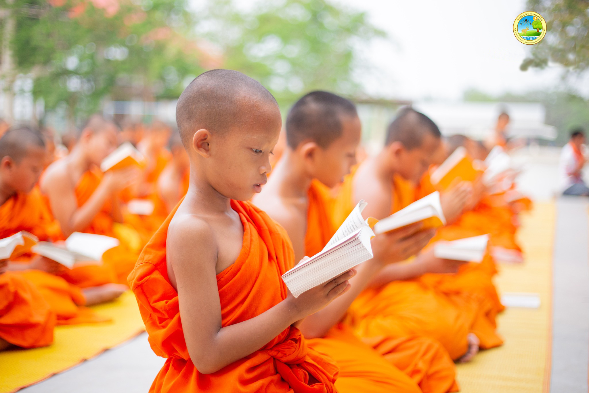 สามเณรอ่านหนังสือธรรมะ